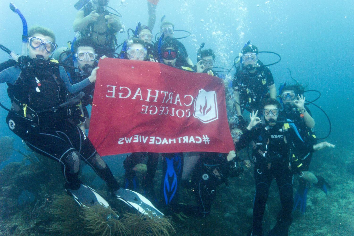 学生们手持<a href='http://7fix.ngskmc-eis.net/'>bv伟德ios下载</a>旗帜，在j学期洪都拉斯游学之旅中潜水.